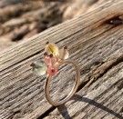 Agarica Ring thumbnail