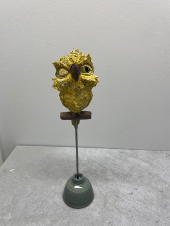 Fugl