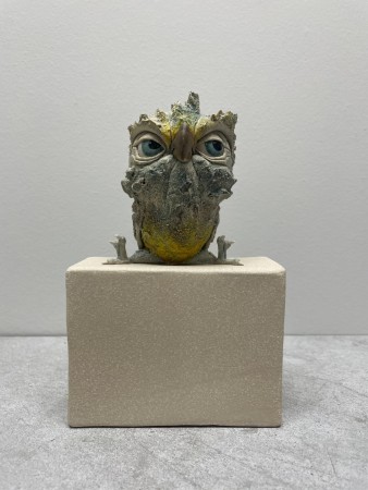 Fugl