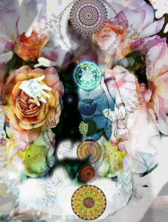 The Seven Portals of Life: All Chakras