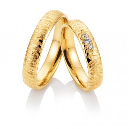 Gifteringer Update renaissance 49/81735 49/81736